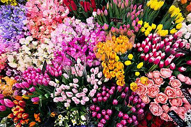 像素风采矿沙盒冒险游戏《地心护核者》将于3月8日 在Steam上开启抢先体验